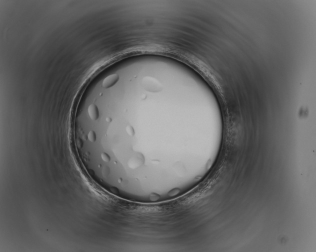 X0000094360845200711241935