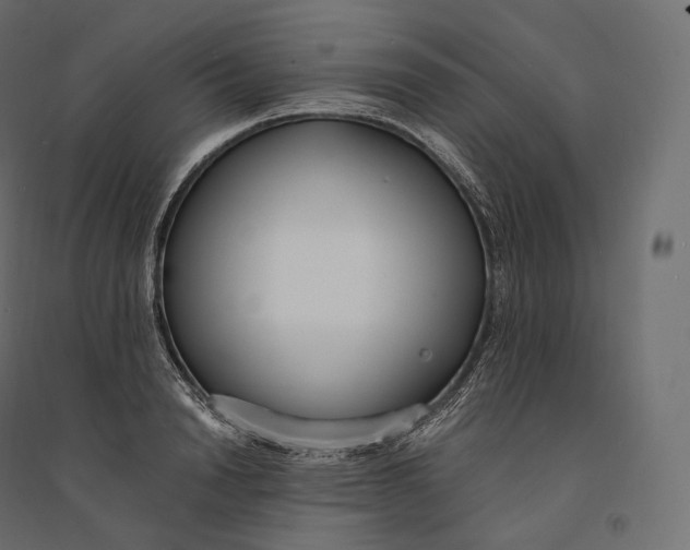 X0000094360846200711241935