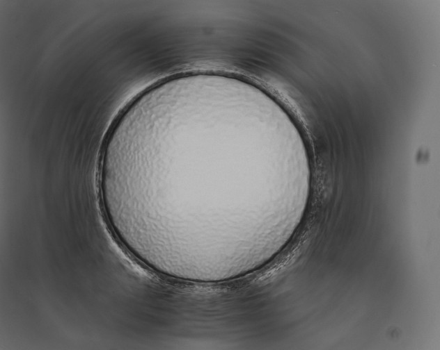 X0000094360847200711241935