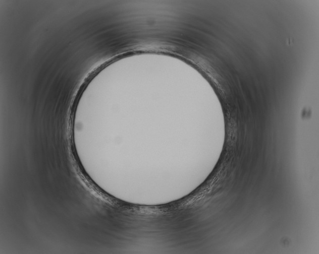 X0000094360848200711241935