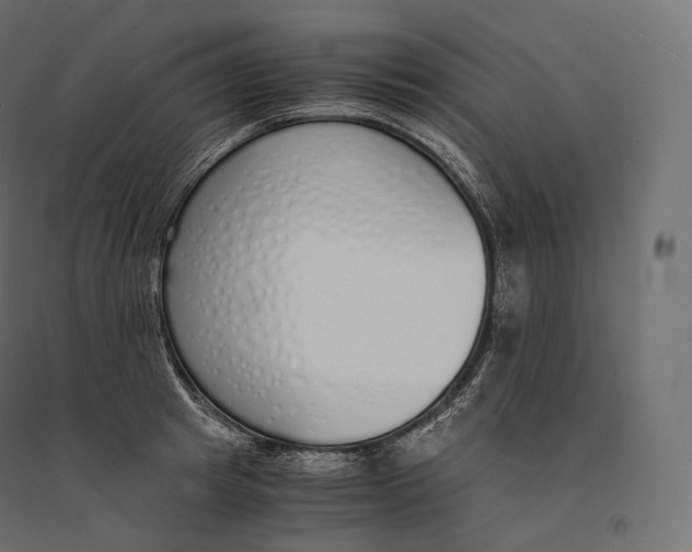 X0000094360849200711241935