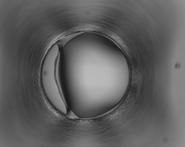 X0000094360850200711241935