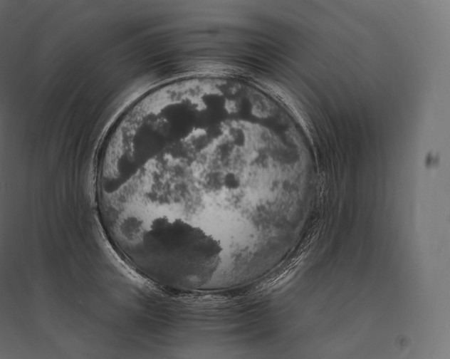 X0000094360851200711241935