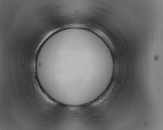 X0000094360852200711241935