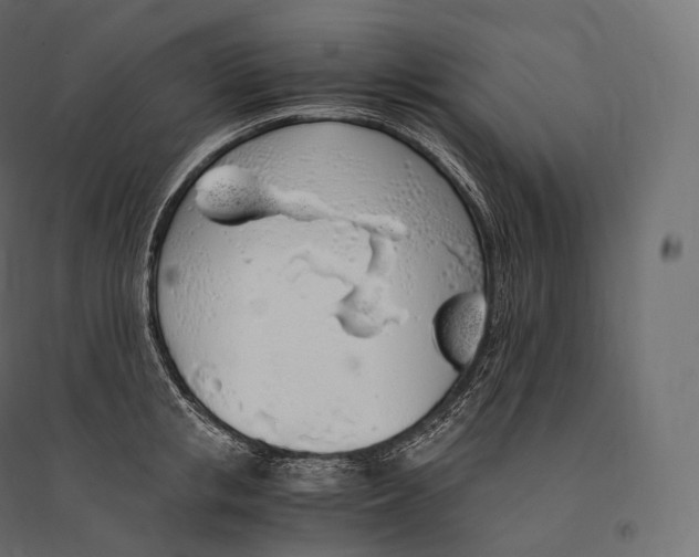 X0000094360853200711241936