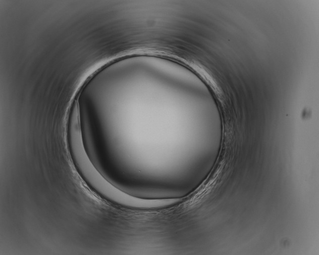 X0000094360854200711241936