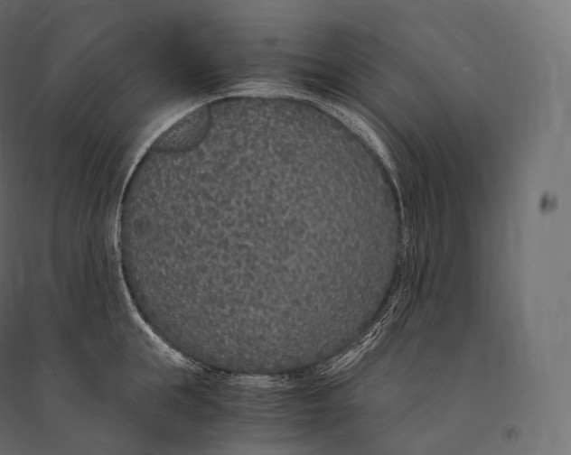 X0000094360855200711241936