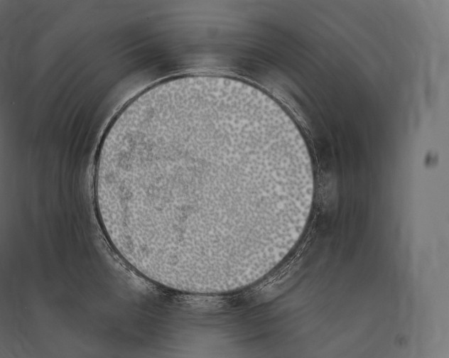 X0000094360856200711241936