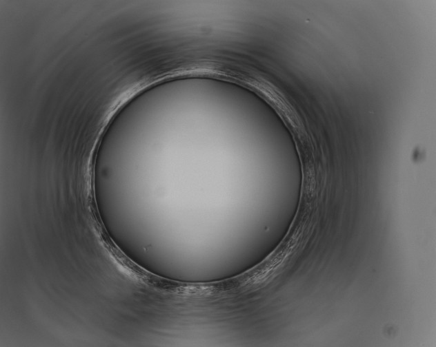 X0000094360858200711241936