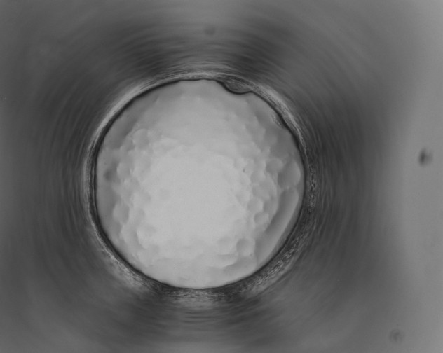 X0000094360859200711241936