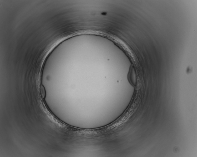 X0000094360860200711241936