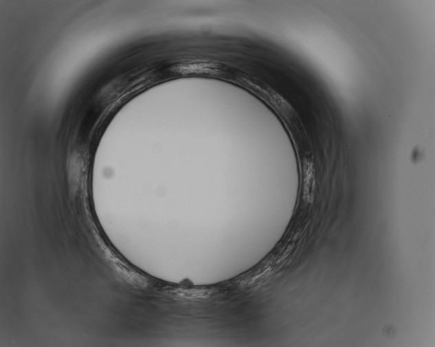 X0000094360861200711241936