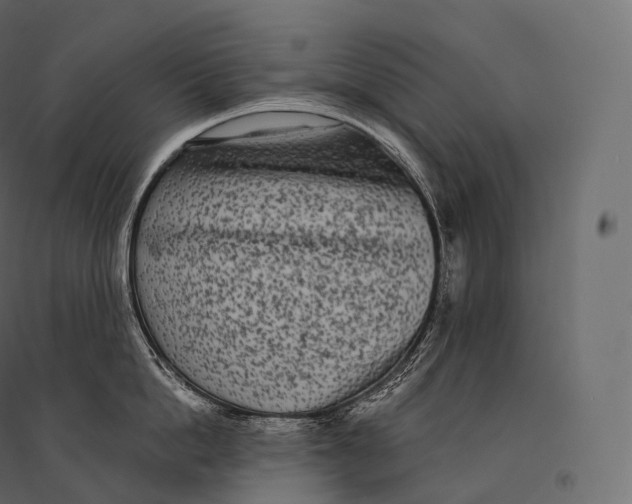 X0000094360862200711241936