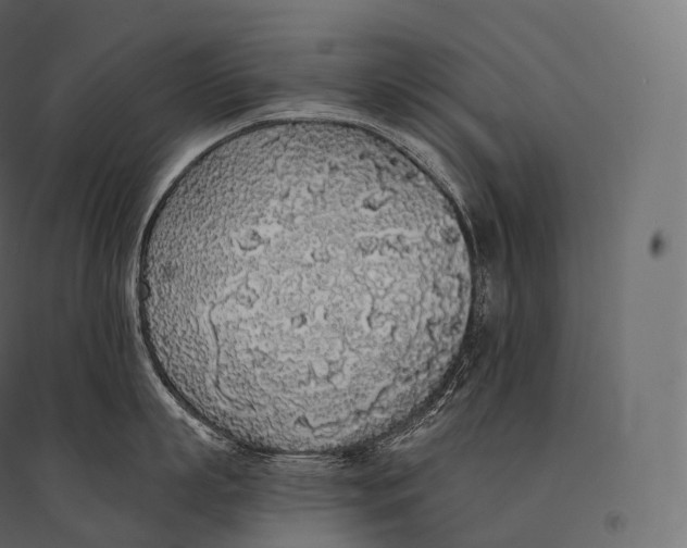 X0000094360863200711241936