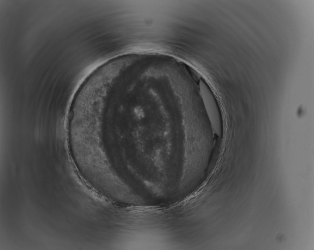 X0000094360864200711241936