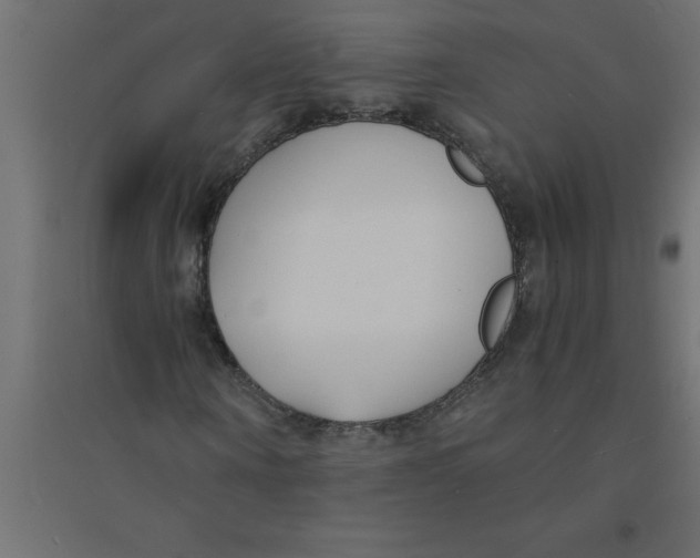 X0000094360866200711241935