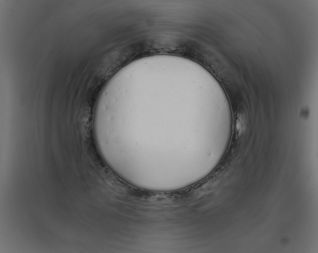 X0000094360867200711241935