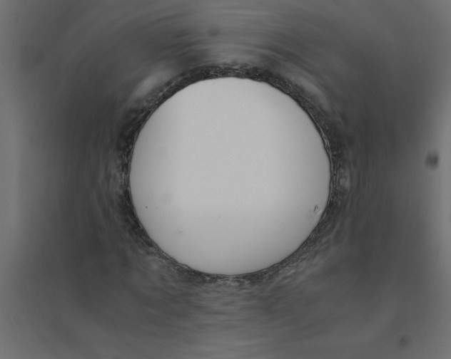 X0000094360869200711241935