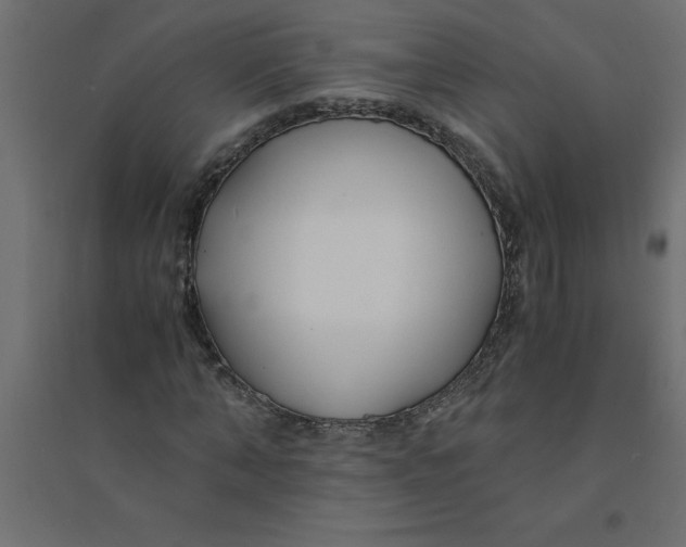 X0000094360870200711241935