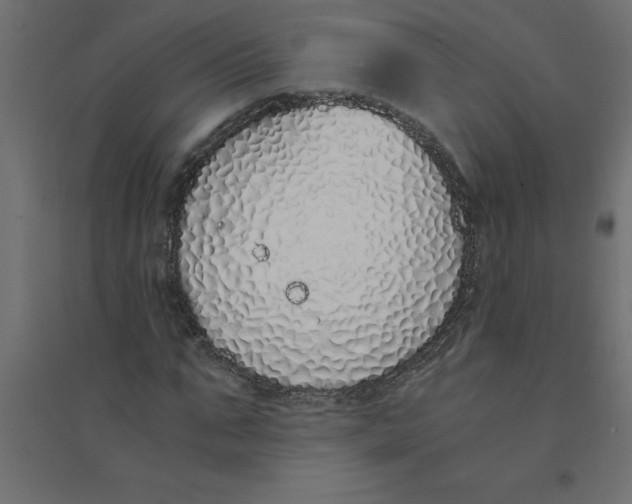 X0000094360871200711241935