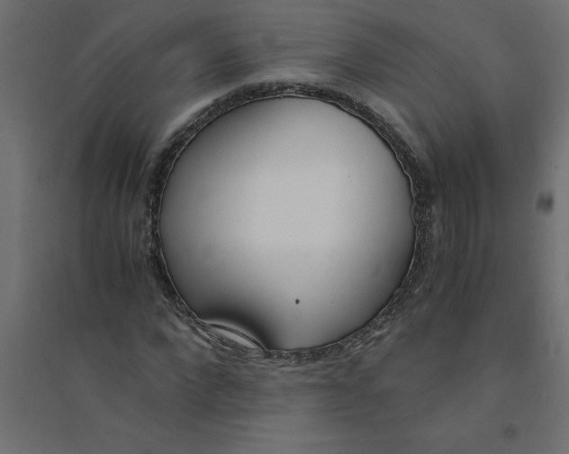 X0000094360872200711241935