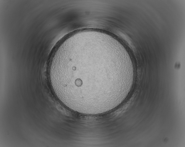 X0000094360875200711241935