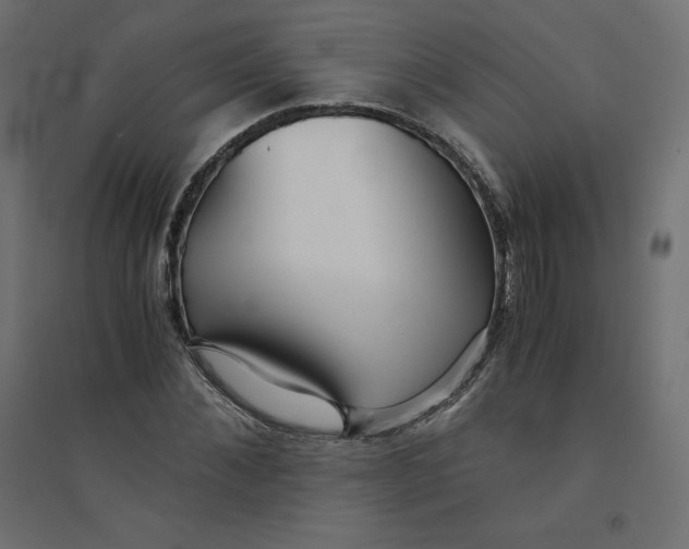 X0000094360876200711241935