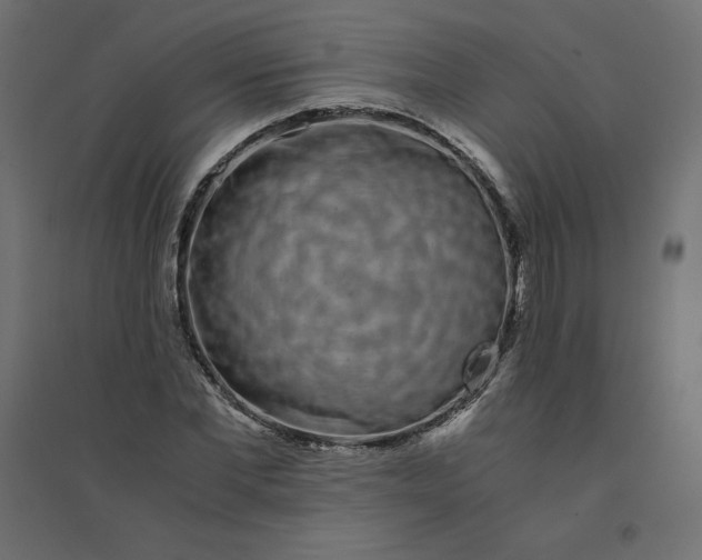 X0000094360877200711241935