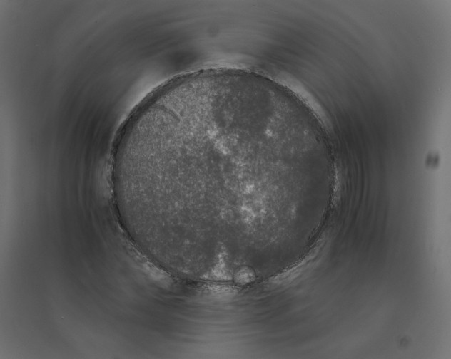 X0000094360878200711241935