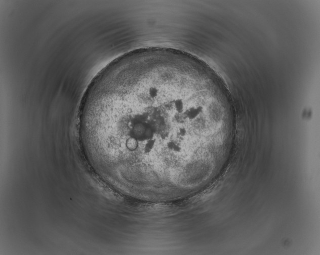 X0000094360879200711241935