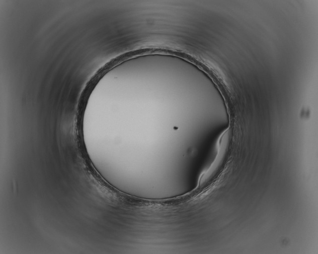 X0000094360880200711241935