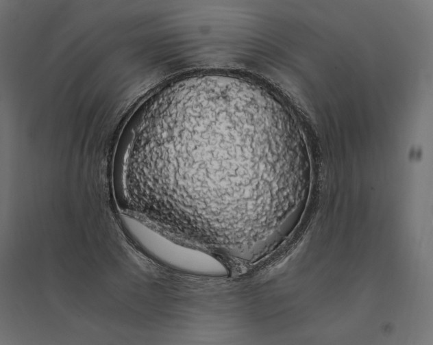 X0000094360881200711241935