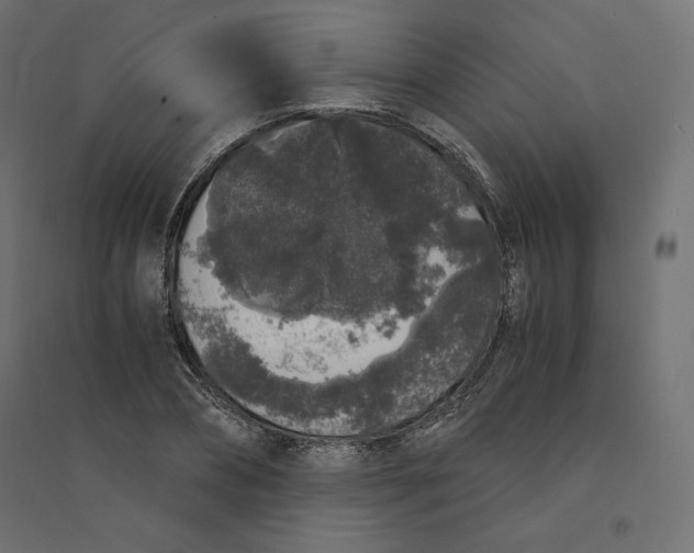 X0000094360882200711241935