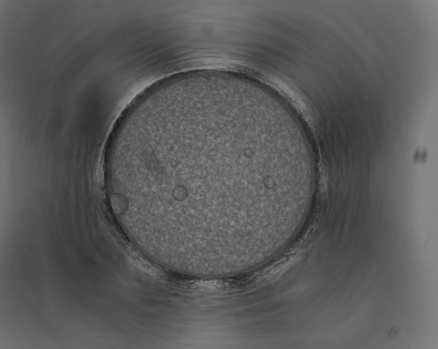 X0000094360883200711241935