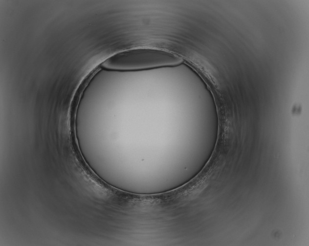 X0000094360884200711241935