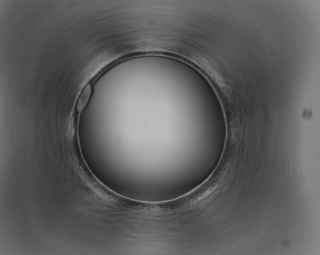 X0000094360885200711241935