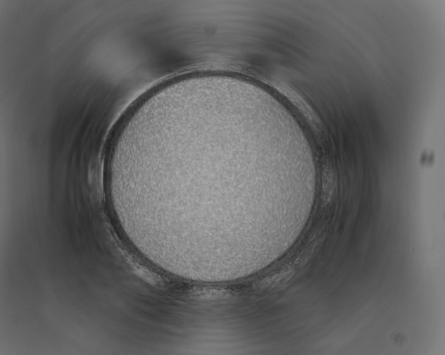 X0000094360886200711241935