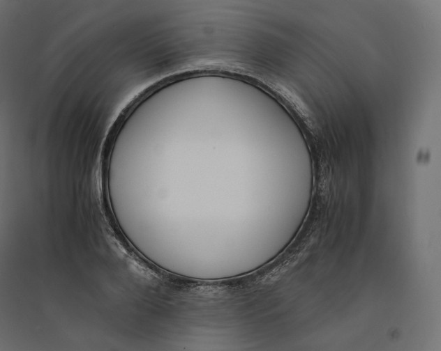 X0000094360888200711241935