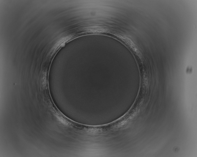 X0000094360889200711241935