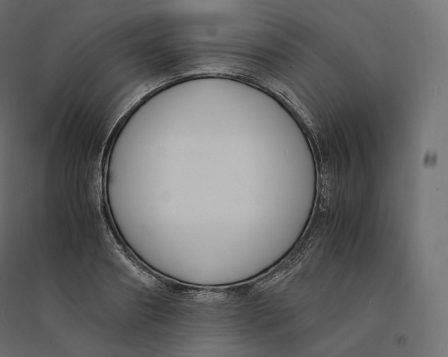 X0000094360890200711241935