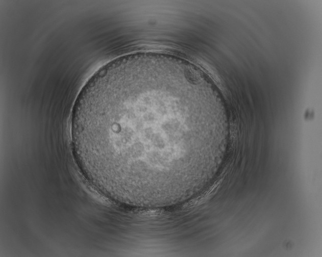 X0000094360891200711241935