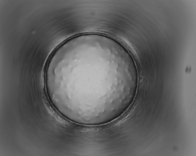 X0000094360892200711241935