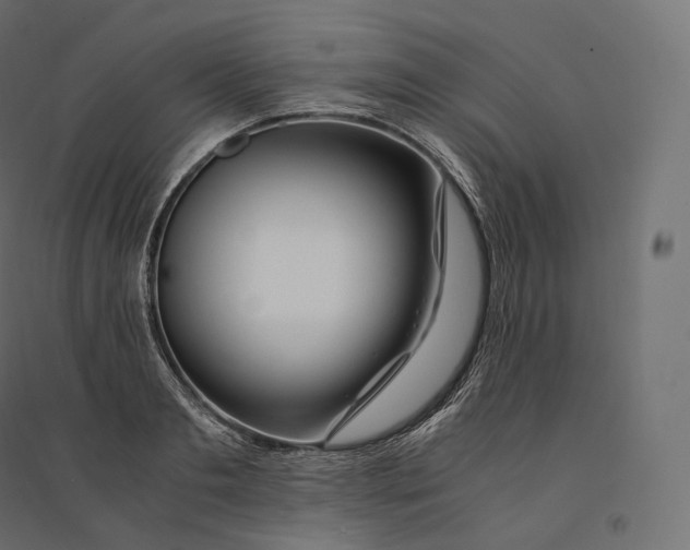 X0000094360893200711241935