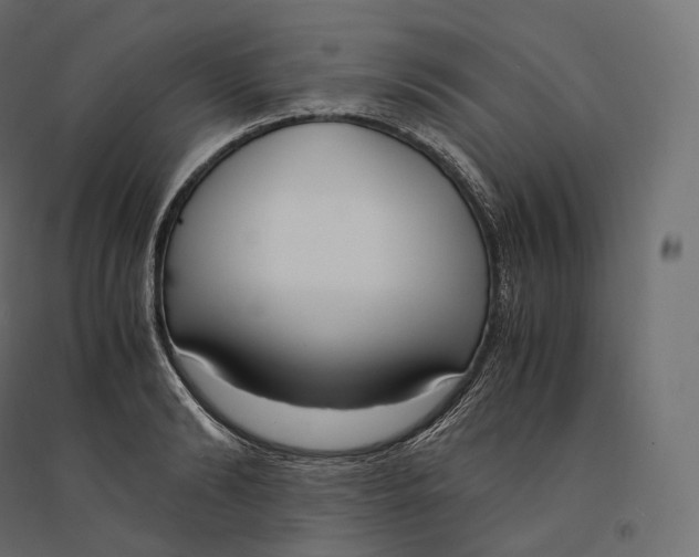 X0000094360894200711241935