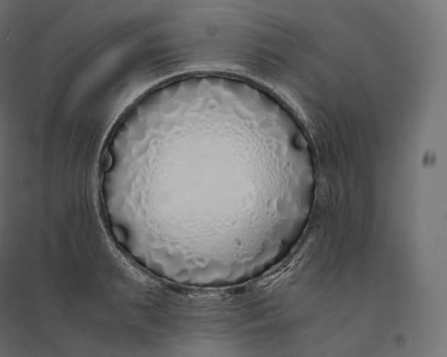 X0000094360895200711241935