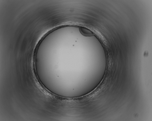 X0000094360896200711241935