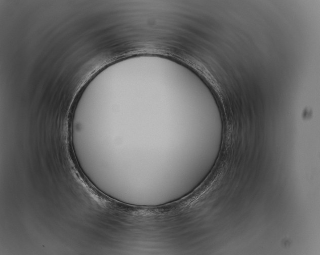 X0000094360898200711241935