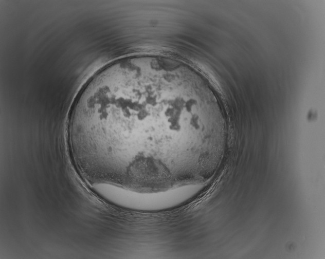 X0000094360899200711241935