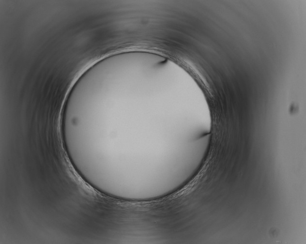 X0000094360900200711241935