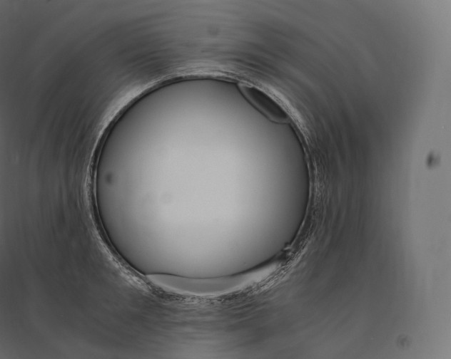 X0000094360901200711241934